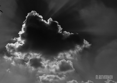IMG_3487-1-2.jpg