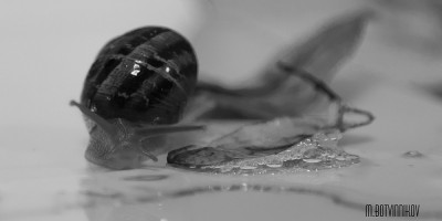 IMG_3563-1-2.jpg