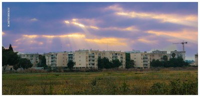 IMG_6719-1.jpg