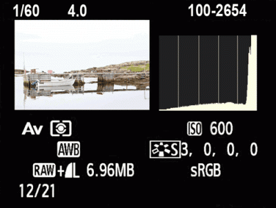 histogram1.gif