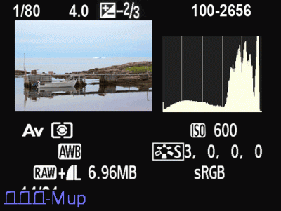 histogram3.gif