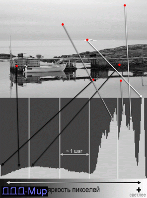 histogram-genesis.gif