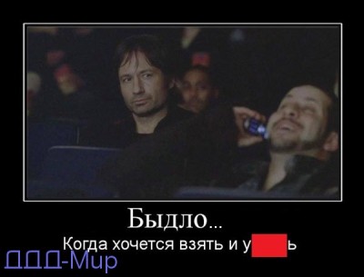kinoteatr.jpg