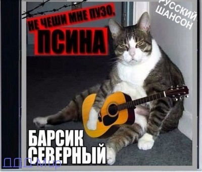 barsik.jpg
