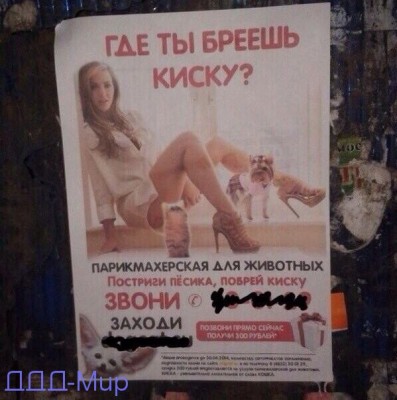 киска.jpg