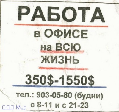 r7.jpg