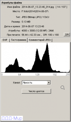 faststone-full-right-gistogramma.png